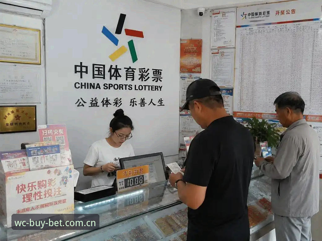 2026世界杯竞猜平台选择与使用教程：新手安全购彩完整指南
